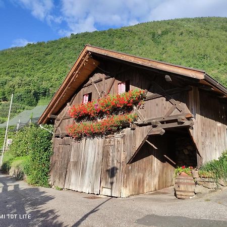 Ruhige Ferienwohnung mit Garten in Privatvilla Marling Exterior foto