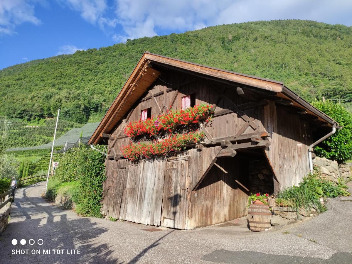 Ruhige Ferienwohnung mit Garten in Privatvilla Marling Exterior foto